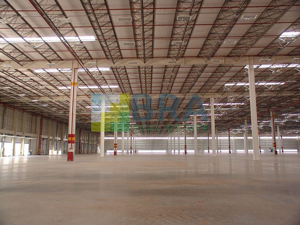 import:7aff20f85d2db24ebc4eb7e8d737cab7